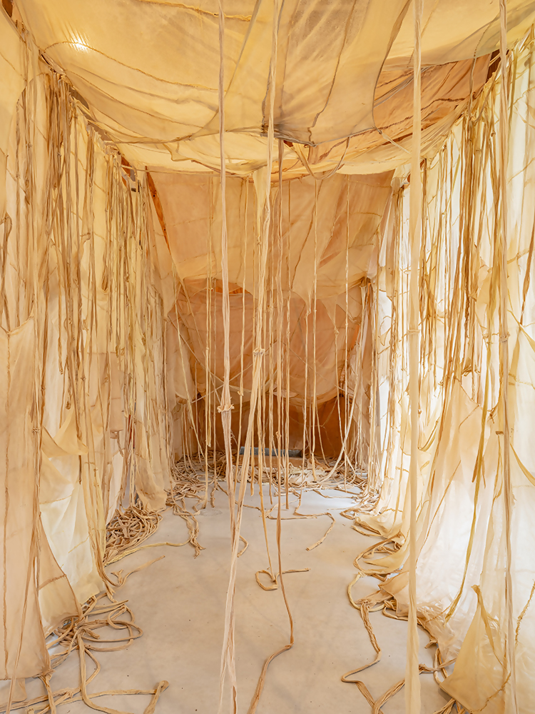 Special Section: Maruyama Junko, Breathing Garden